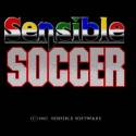 1086334-sensible_soccer_14