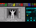 Dungeon_Master_23
