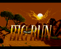 big_run_01