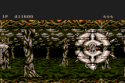 saint-dragon_113