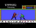 windwalker_062