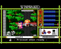 windwalker_073